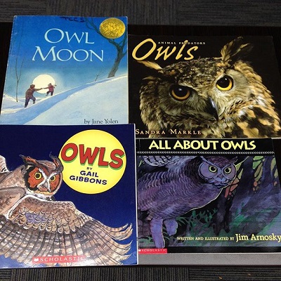 Teaching About Owls