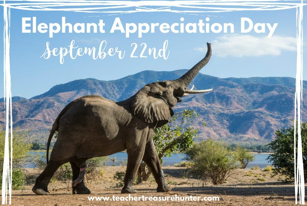 Elephant Appreciation Day in the Classroom