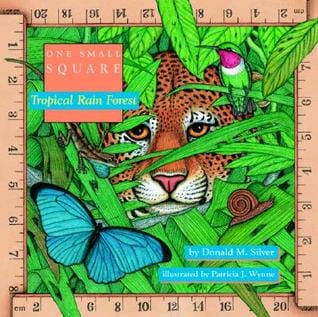 One Small Square Tropical Rainforest - a rainforest book for upper elementary students. 